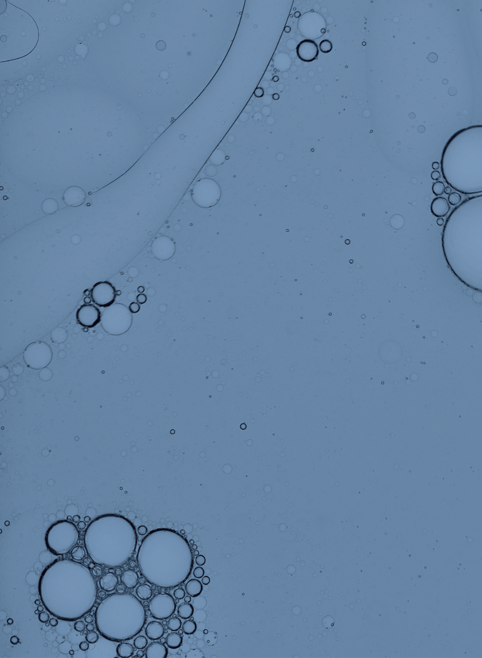 ILASH_-_Homepage_banner_02_6.png