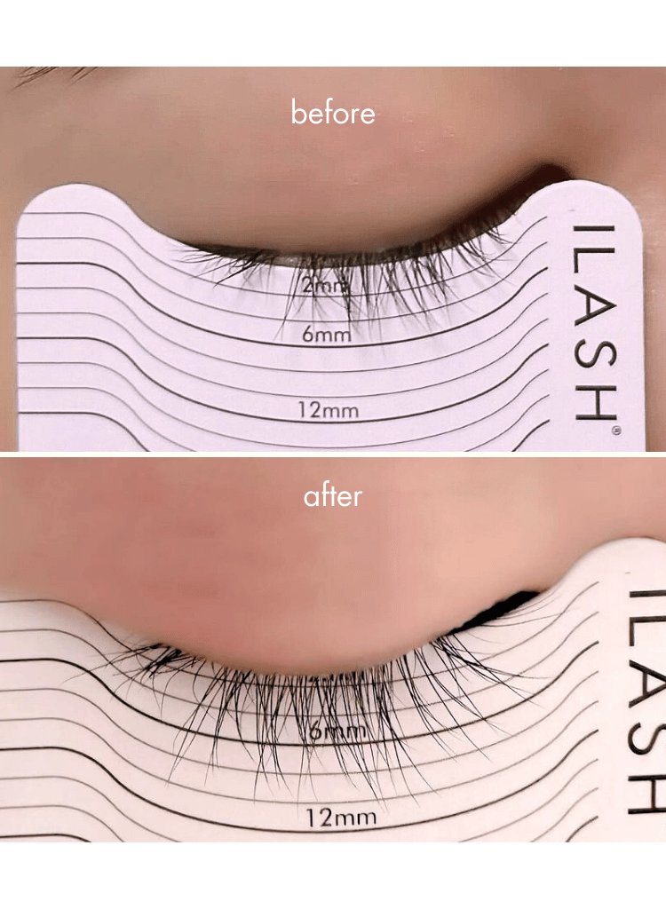 All About Lash Duo
